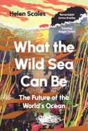 What the Wild Sea Can Be (Paperback)