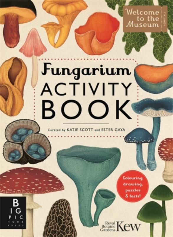 isbn-9781835870648_front_cover