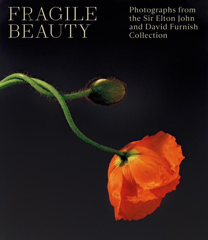 isbn-9781838510466_front_cover