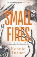 Small Fires (Paperback)