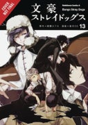 Bungo Stray Dogs, Vol. 13 (Paperback)