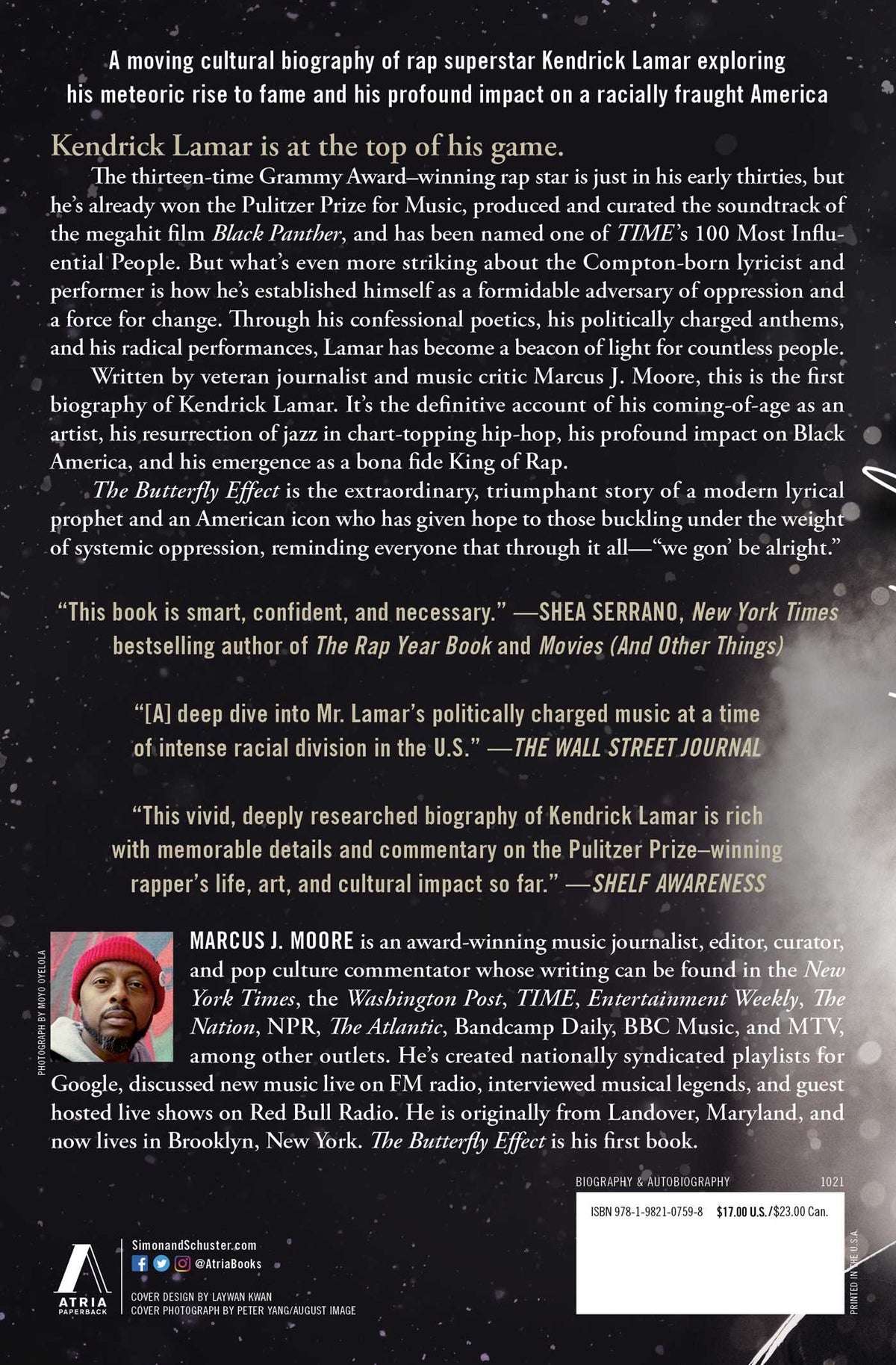 The Butterfly Effect (Paperback)