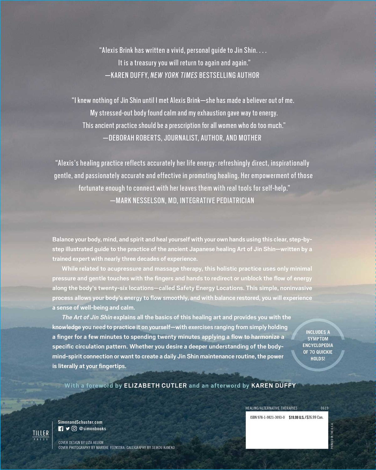 The Art of Jin Shin (Paperback)