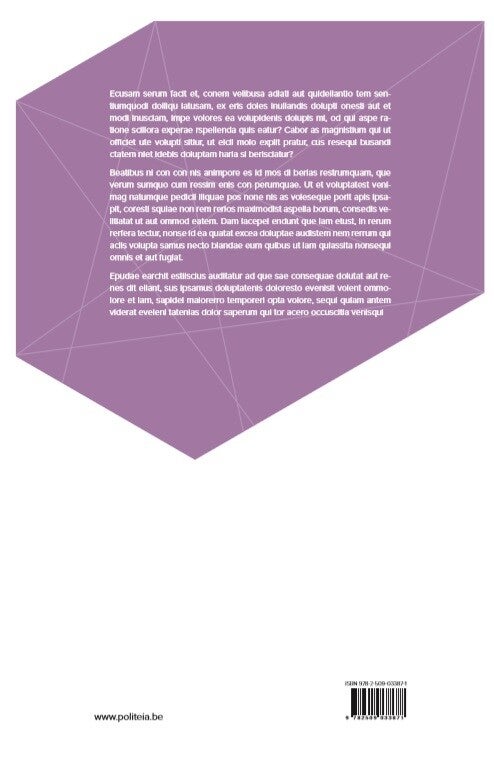 Strategisch management in publieke organisaties. (Paperback)