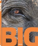 Big (Hardback)