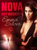 Nova 1: Het weerzien - erotisch verhaal (E-book)
