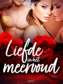 Liefde in het meervoud – Erotisch verhaal (E-book)