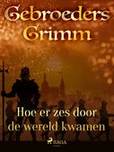 Hoe er zes door de wereld kwamen (E-book)