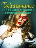 Treinromance en 12 andere spannende erotische verhalen (E-book)