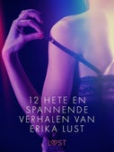 12 hete en spannende verhalen van Erika Lust (E-book)