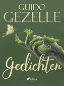 Gedichten (E-book)
