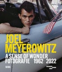 Joel Meyerowitz: A Sense of Wonder (Bilingual edition) (Hardback)