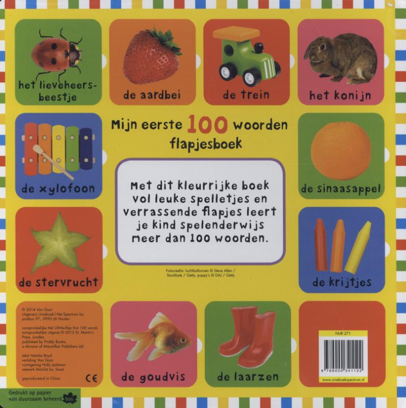 Mijn eerste 100 woorden flapjesboek (Hardback)