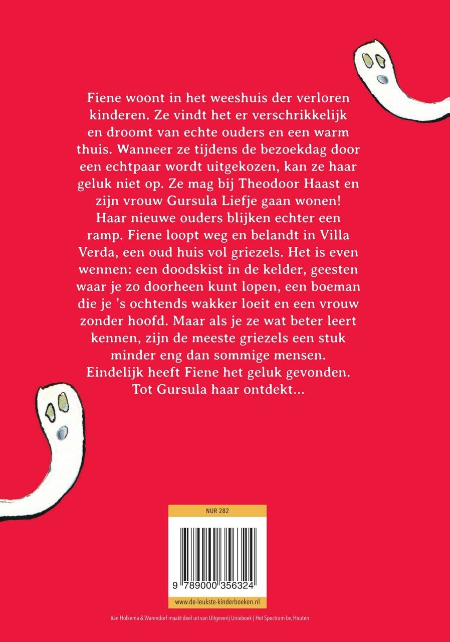 Een spook(t)huis voor Fiene (E-book)