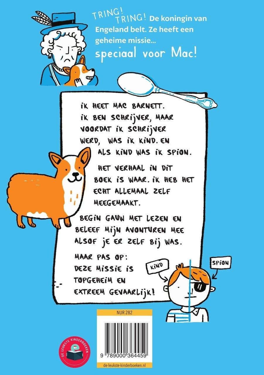 De gestolen juwelen (E-book)