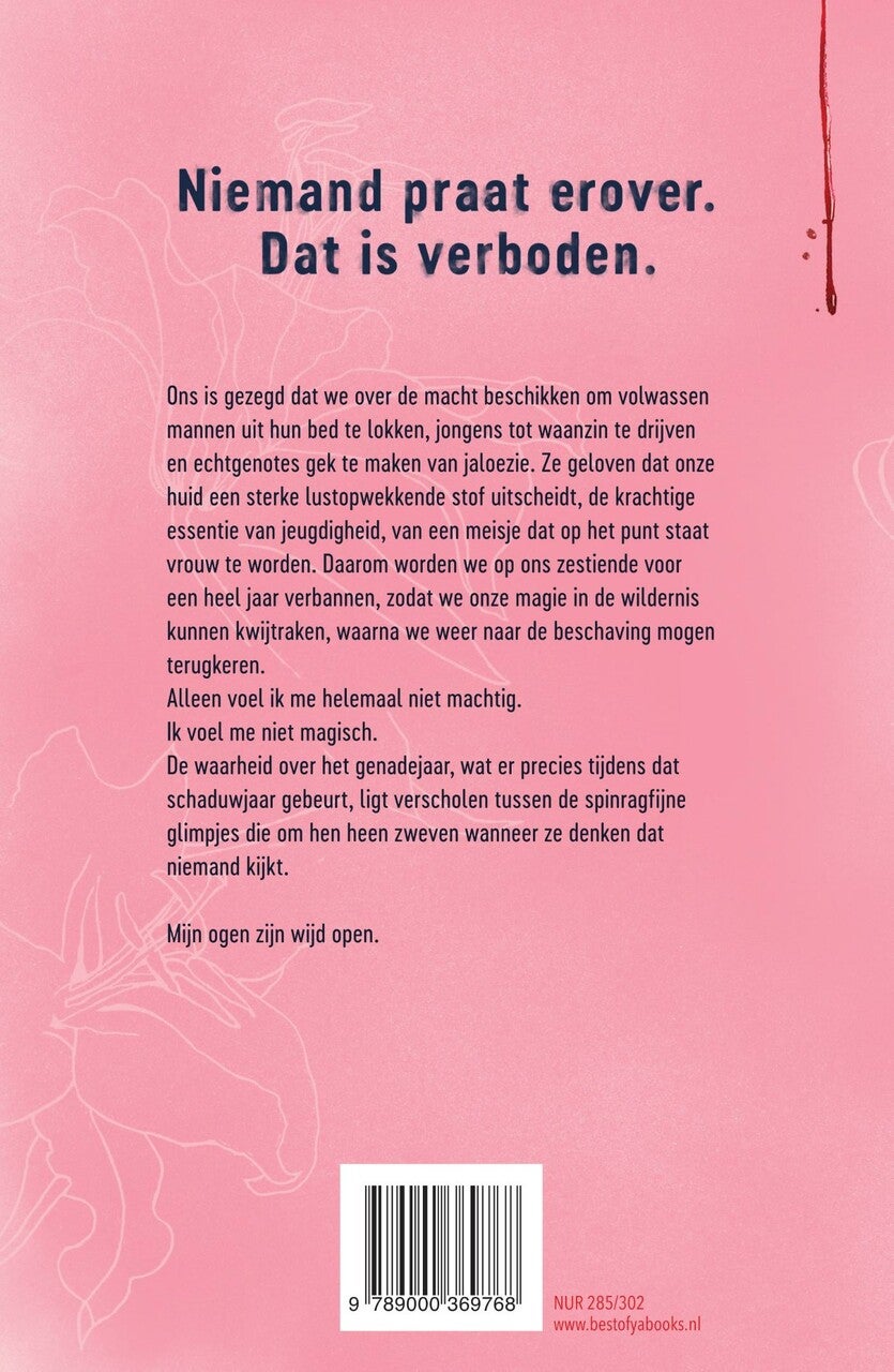 Het schaduwjaar (E-book)