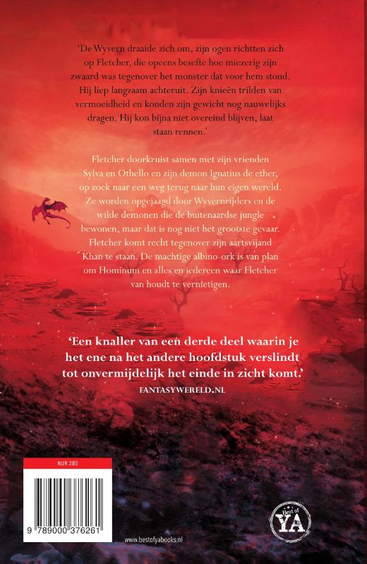 De strijdmagiër (Paperback)