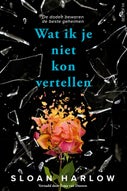 Wat ik je niet kon vertellen (E-book)