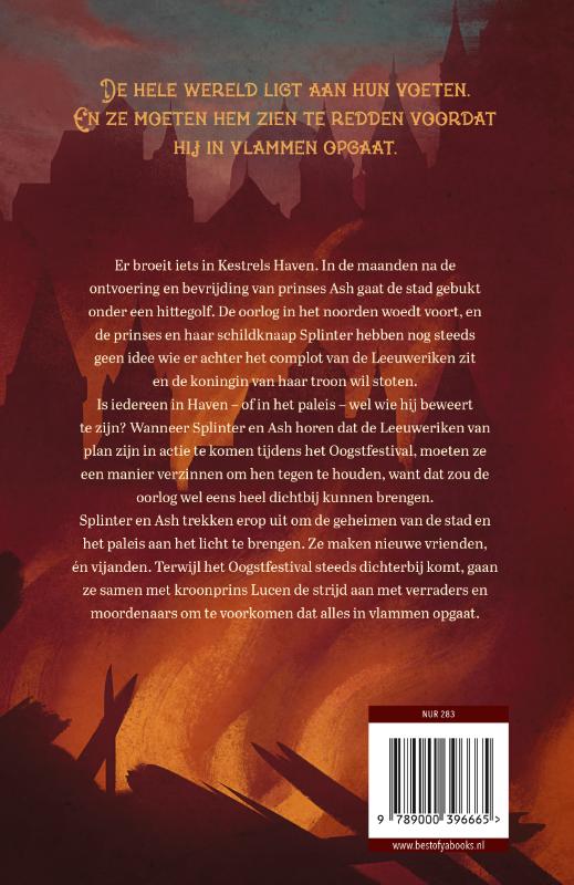 Een stad vol geheimen (Paperback)