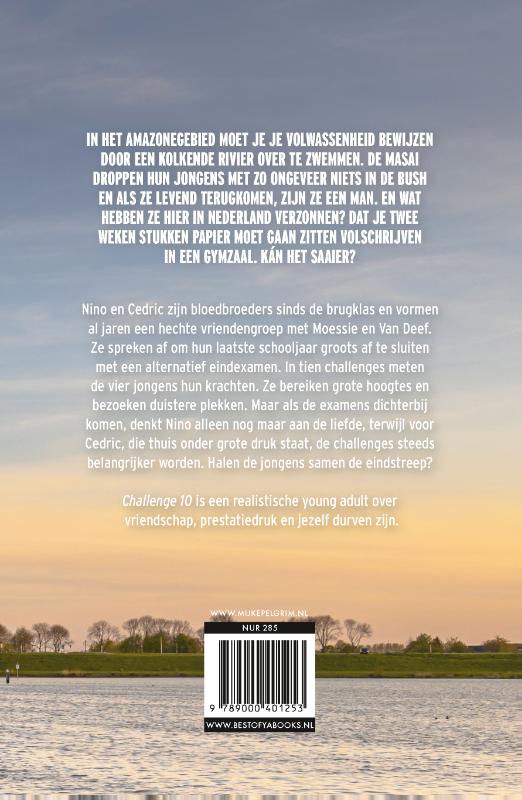 Challenge 10 (Paperback)