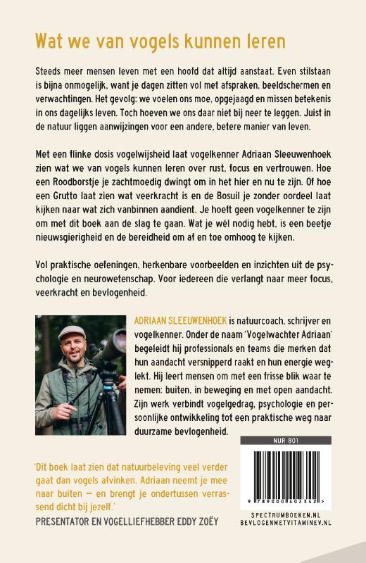 Bevlogen met vitamine V (Paperback)