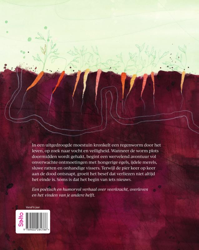 Meer dan eens (Hardback)