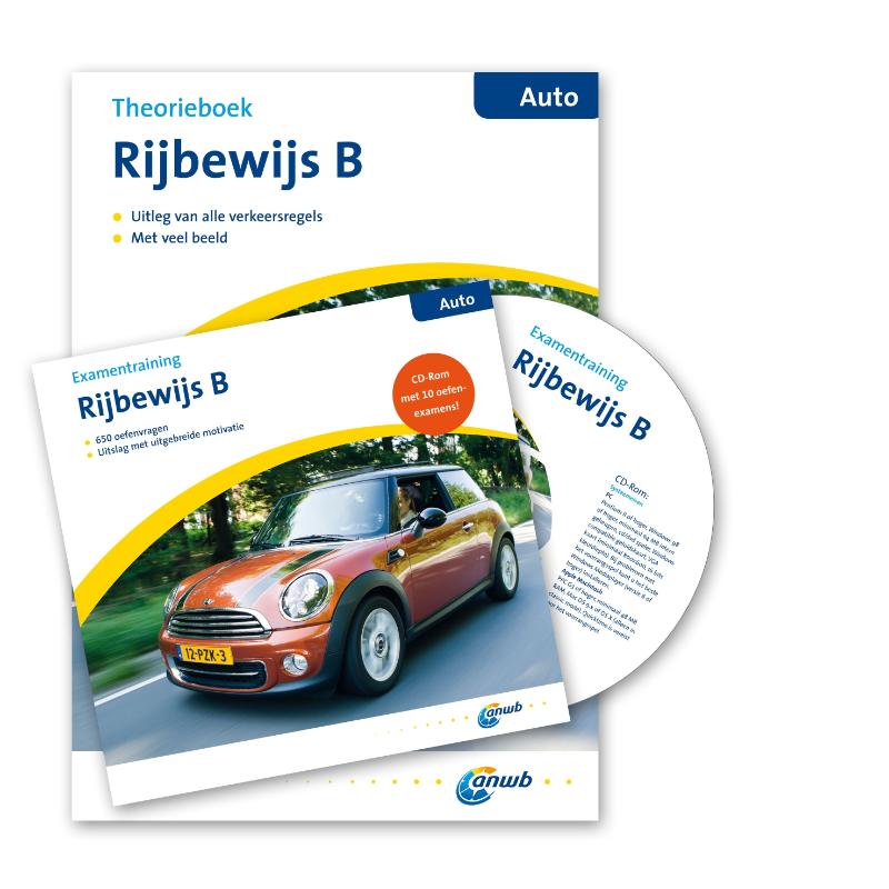 Slagen in het verkeer (Paperback)