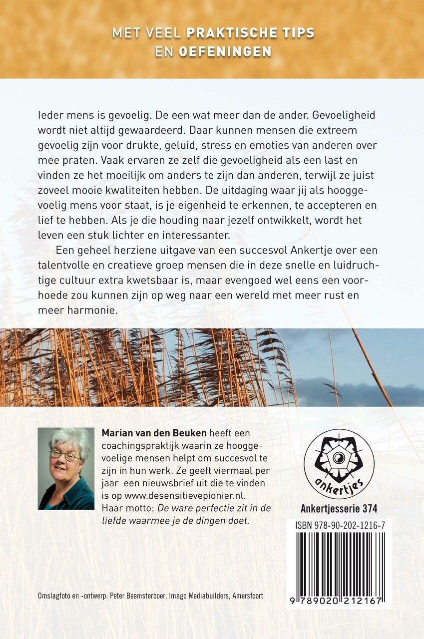 Hooggevoeligheid als uitdaging (E-book)