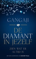 De diamant in jezelf (Paperback)