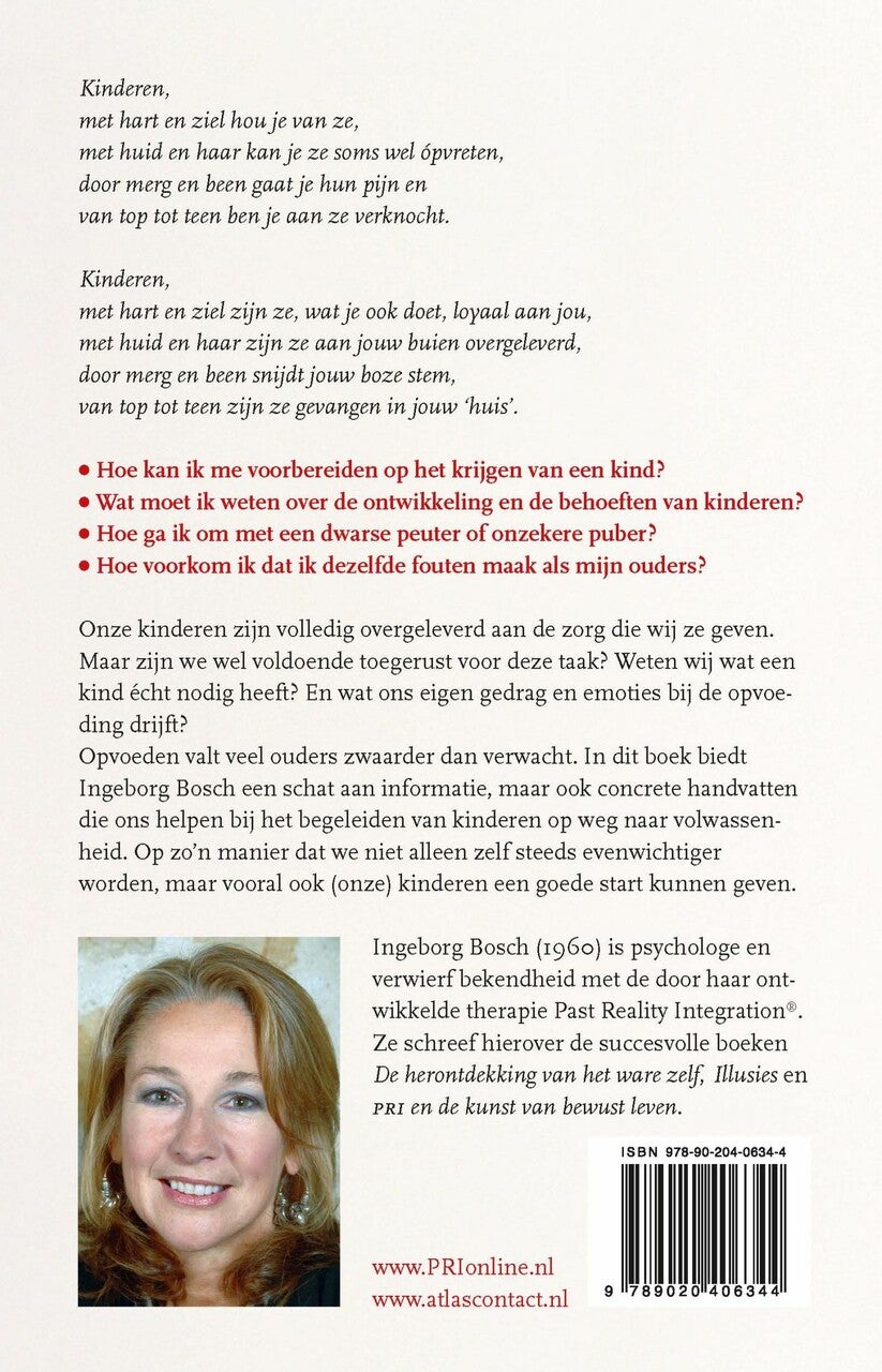 De onschuldige gevangene (E-book)