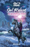 Het geschenk van Aideen (E-book)