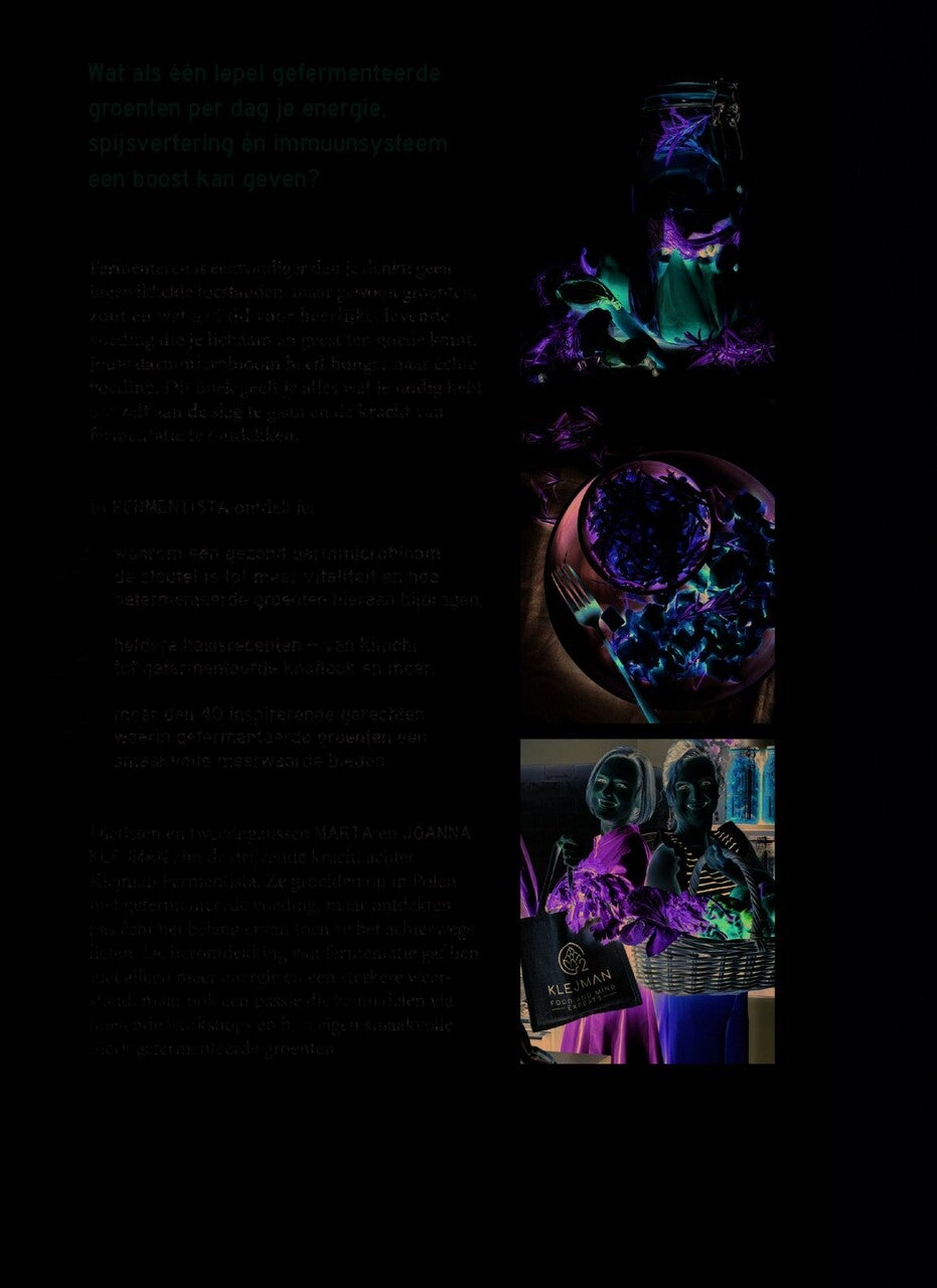 Fermentista (E-book)
