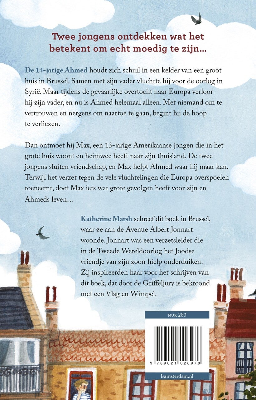 Niemandsjongen (Paperback)