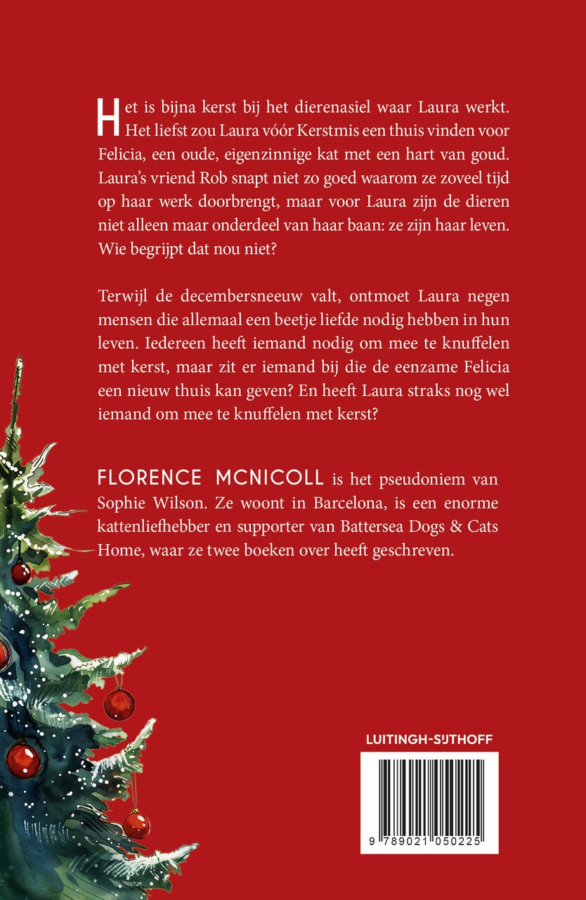 Een kat voor kerst (Paperback)