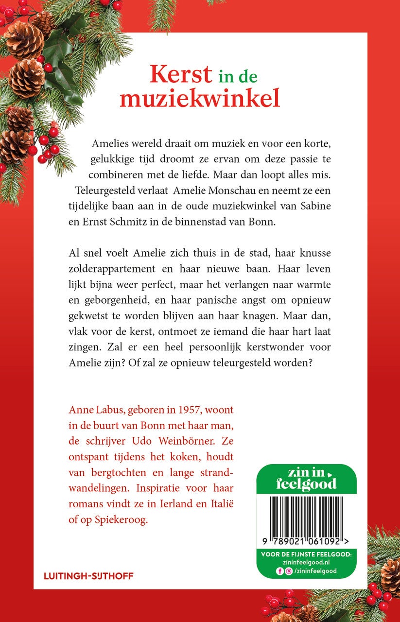 Kerst in de muziekwinkel (E-book)