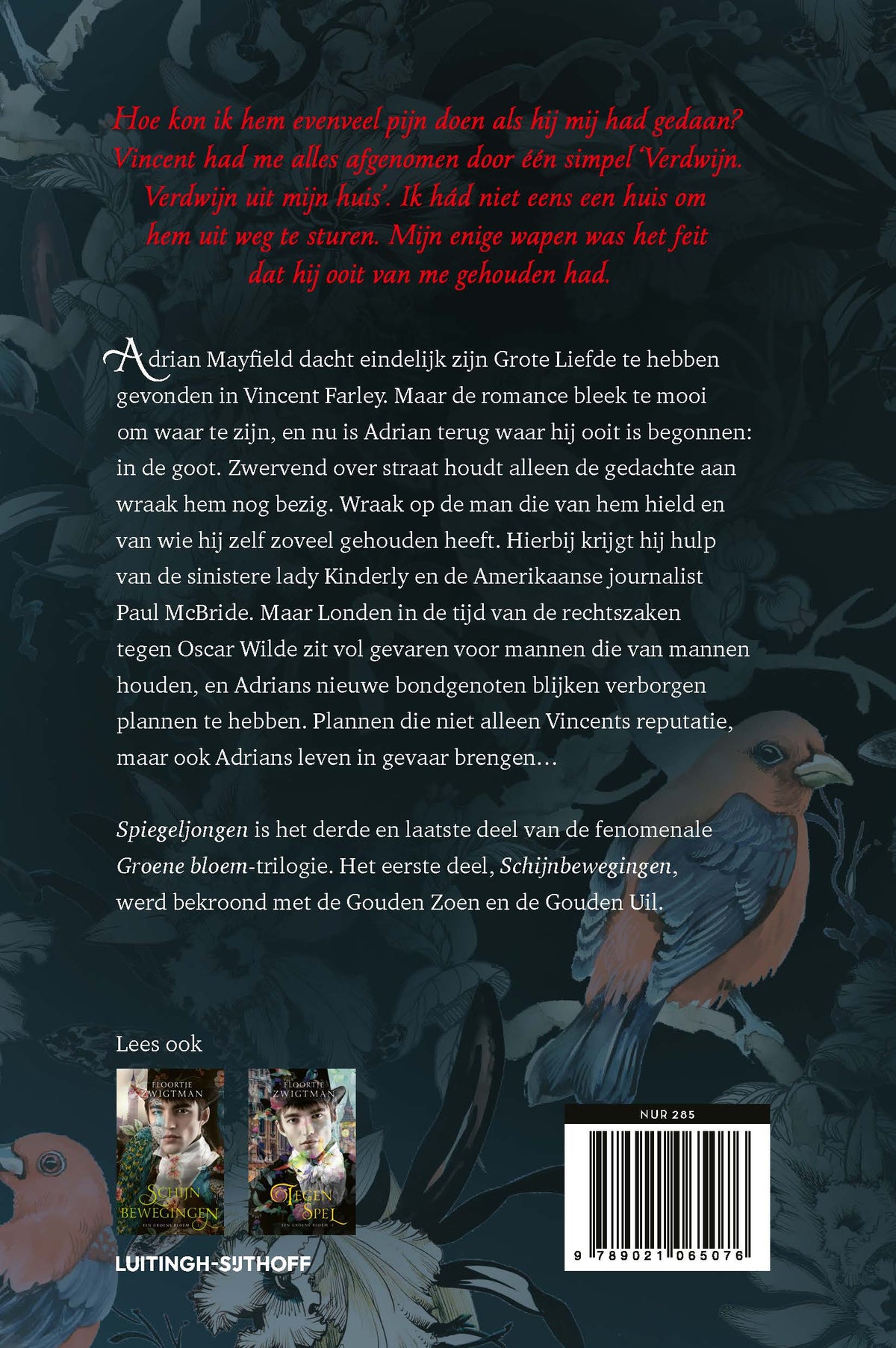 Spiegeljongen (Paperback)