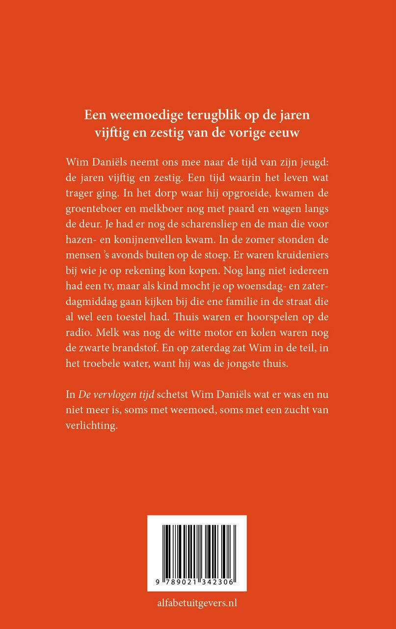 De vervlogen tijd (E-book)