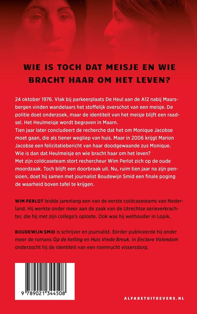 Het Heulmeisje (E-book)