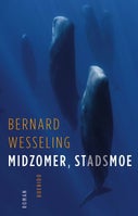 Midzomer, stadsmoe (E-book)