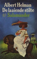 De laaiende stilte (E-book)