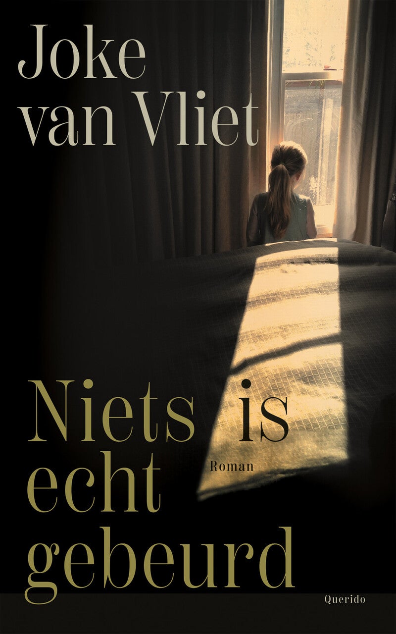Niets is echt gebeurd (Paperback)