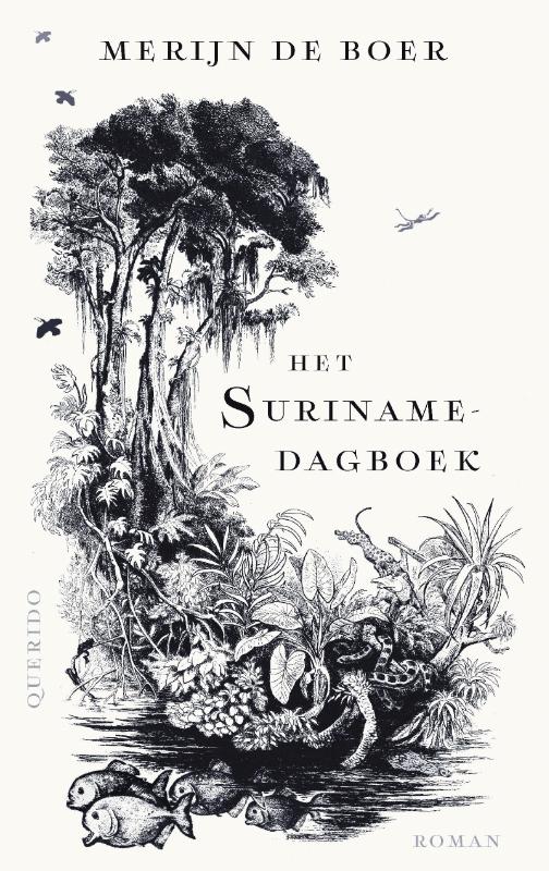 Het Surinamedagboek (Paperback)