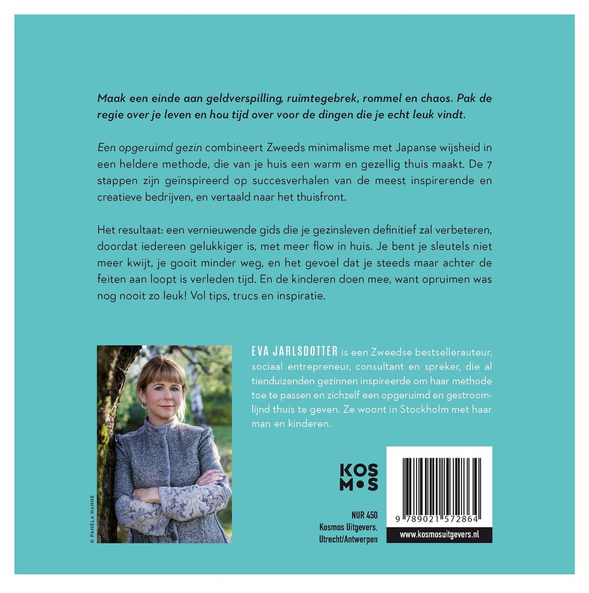 Een opgeruimd gezin (E-book)