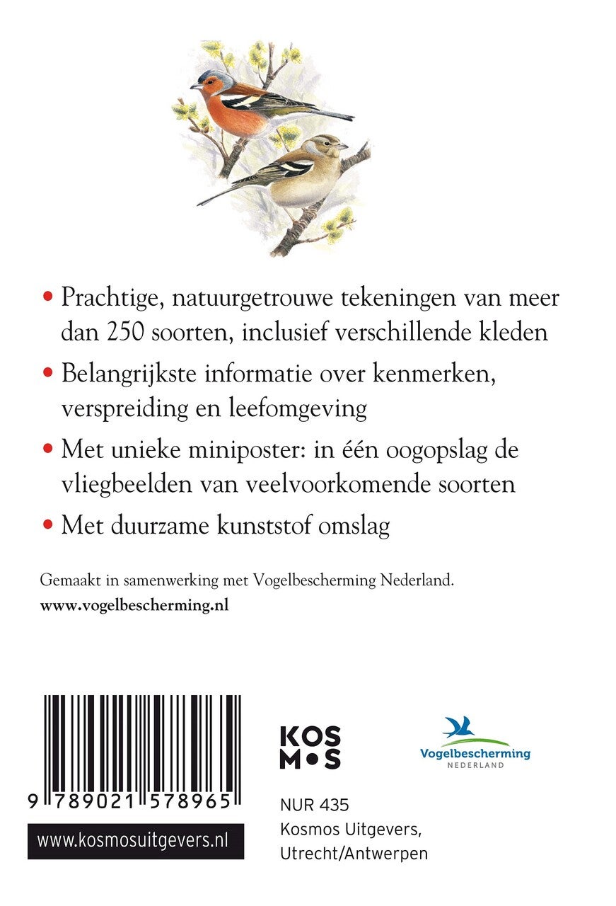 Compactgids Vogels (Paperback)