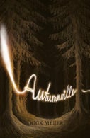 Autumnville (Hardback)