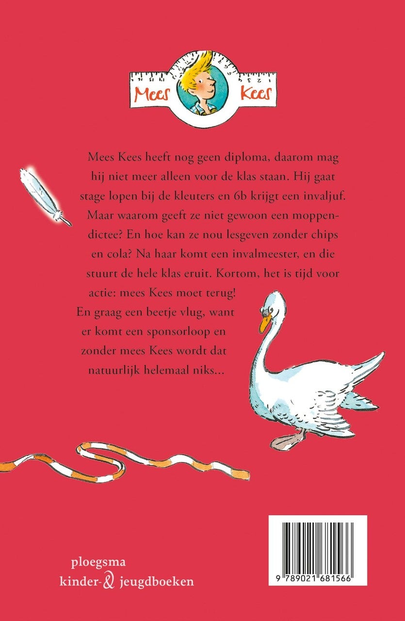 De sponsorloop (E-book)