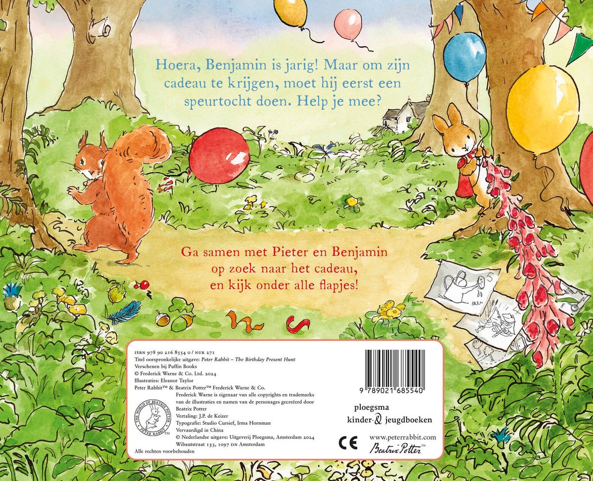 De leukste verjaardag ooit! (Hardback)