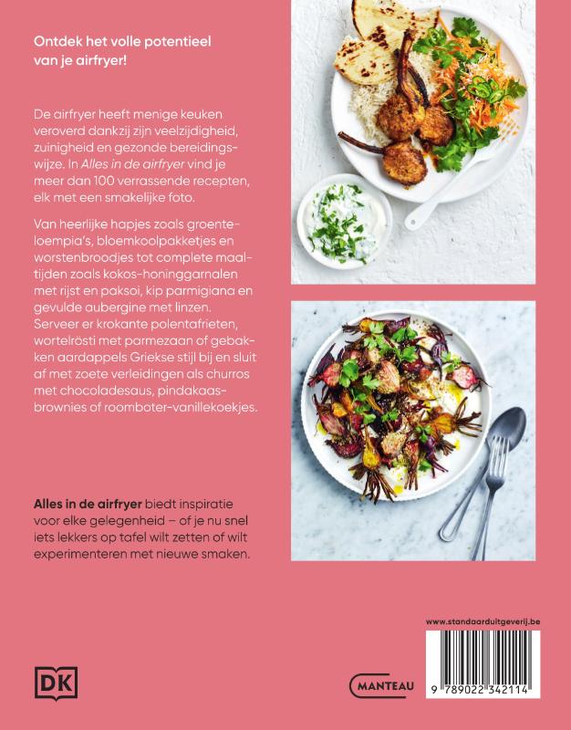 Alles in de airfryer (Paperback)