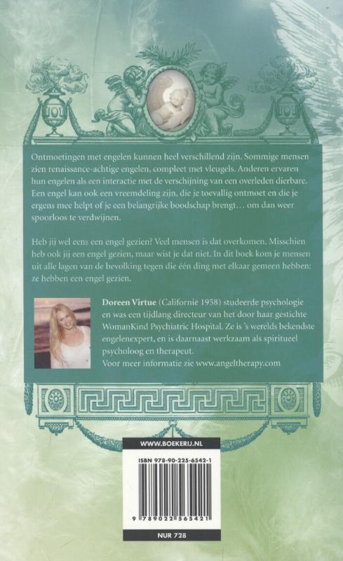Ontmoetingen met engelen (Paperback)