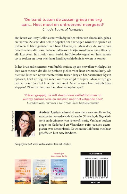 Een perfecte plek (Paperback)